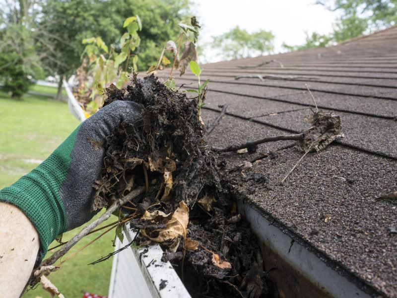A person wearing gloves is cleaning a dirty gutter in a house located in Fredericksburg.