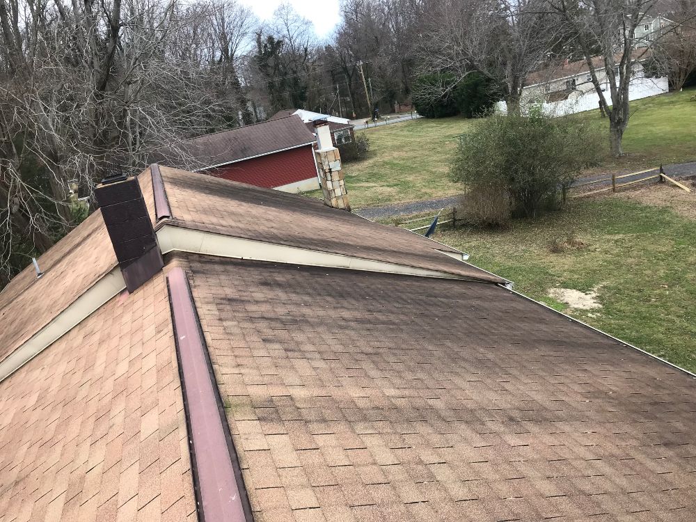 Soft Wash Roof Cleaning Cost