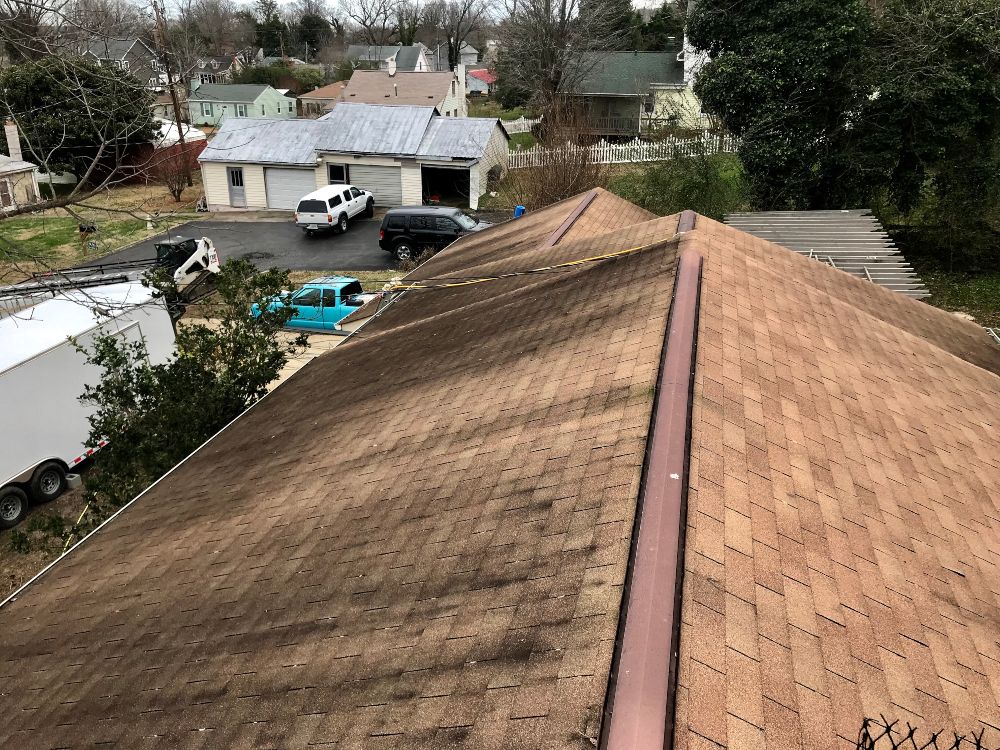 Soft Wash Roof Cleaning Services