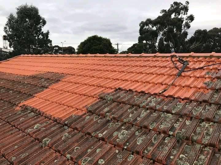 Roof Washing Company