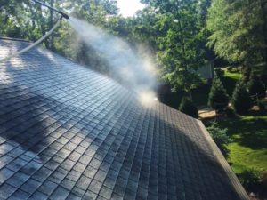 Roof Soft Washing